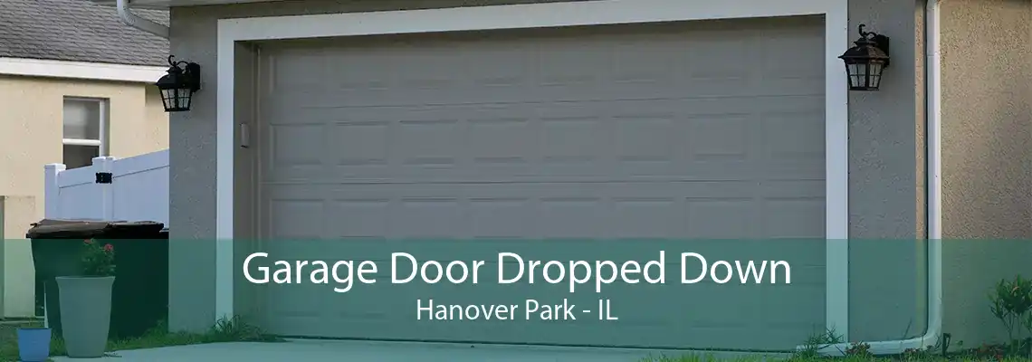 Garage Door Dropped Down Hanover Park - IL