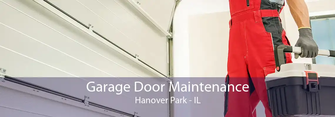 Garage Door Maintenance Hanover Park - IL