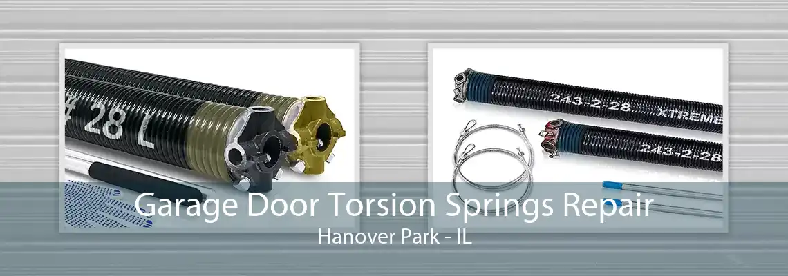 Garage Door Torsion Springs Repair Hanover Park - IL