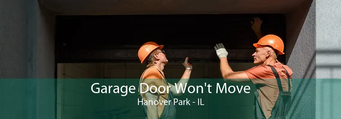 Garage Door Won't Move Hanover Park - IL